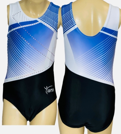 Training Leotards